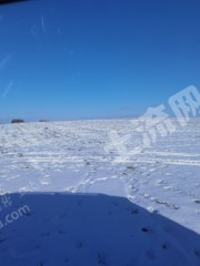 黑河嫩江县6000亩旱地经营权出租