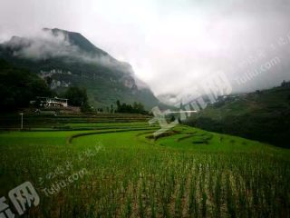 重庆武隆270平米农家庭院出租