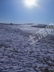 黑河嫩江县 5000亩 旱地 经营权出租