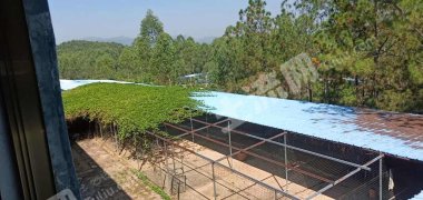 广东/惠州/惠东县城边1500平米农村厂房出租