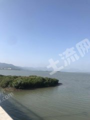 惠州惠東縣鹽洲島192平米宅基地使用權(quán)出租