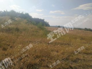 衡水深州市 23亩 畜牧养殖用地 经营权转让