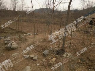 衡水深州市 4000平米 宅基地 使用權(quán)出租