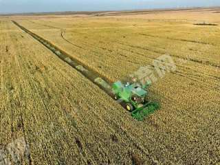 呼伦贝尔额尔古纳市5000亩旱地经营权出租