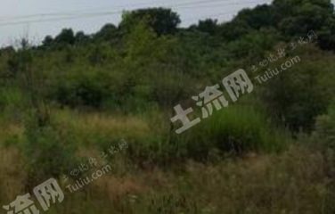 烟台烟台经济技术开发区 50亩 灌木林地 经营权出租