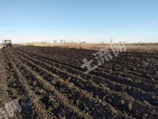 黑河嫩江县7500亩旱地经营权出租