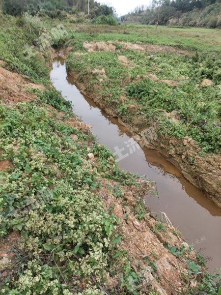 茂名化州市180畝水澆地,村委出租