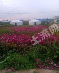 呼伦贝尔陈巴尔虎旗5200平米厂房使用权转让