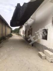 广东/惠州/惠东县白花50座民房出租