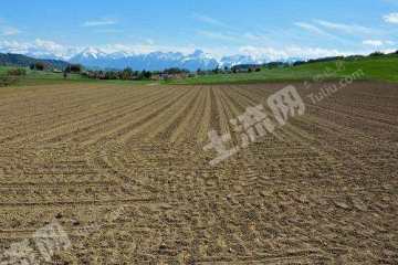 黑河孙吴县750亩旱地经营权转让