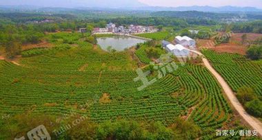 绍兴嵊州市 15亩 荒地（适合种养）经营权 出租