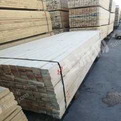 黑河孙吴县3000亩有林地经营权转让