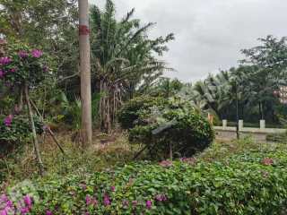 三亞博后村附近兩畝多宅基地使用權(quán)出租