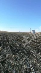 四平双辽市5000亩水浇地经营权出租