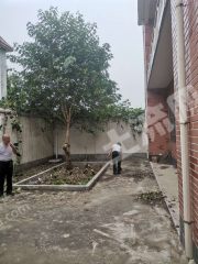 新乡卫滨区300平米农家庭院出租XX1506