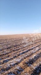 黑河爱辉区12000亩旱地经营权出租