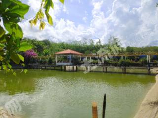 三亚海棠区30亩养生农庄使用权出租