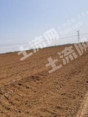 衡水景县14亩荒地出租