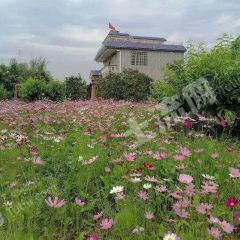 广东韶关 30亩 农庄果园 经营权转让