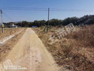 广州从化区40亩水田经营权出租