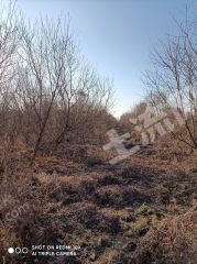 济南济阳区 10亩 水浇地 经营权转包