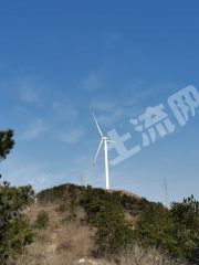 孝感大悟县 200亩 水浇地 经营权转让