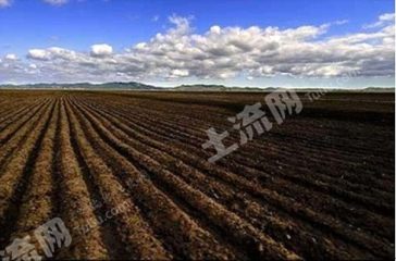 齐齐哈尔克山县100000亩旱地经营权出租