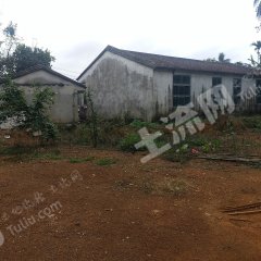 海南万宁市1200平米农家庭院使用权合作