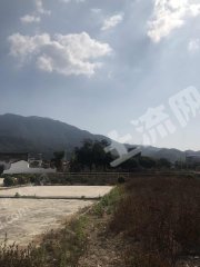 惠州惠東縣600平米宅基地使用權出租