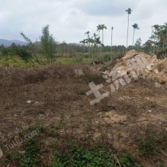 海南萬(wàn)寧市1200平米宅基地使用權(quán)出租