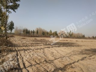 唐山乐亭县380亩水浇地经营权转让