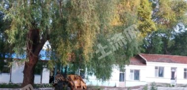 长春朝阳区45亩工业用地使用权转让