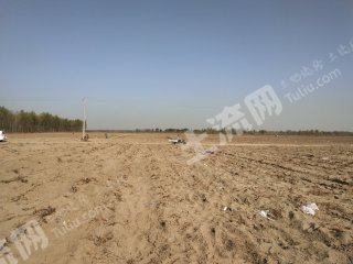 唐山乐亭县380亩水浇地经营权转让