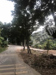 廣東/惠州/惠東縣200平米宅基地使用權(quán)出租