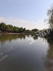 武漢  新洲區(qū) 300畝度假山莊 出租