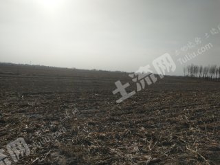 唐山丰南区50亩畜牧养殖用地经营权出租