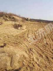 泰安新泰市2亩其它耕地经营权出租