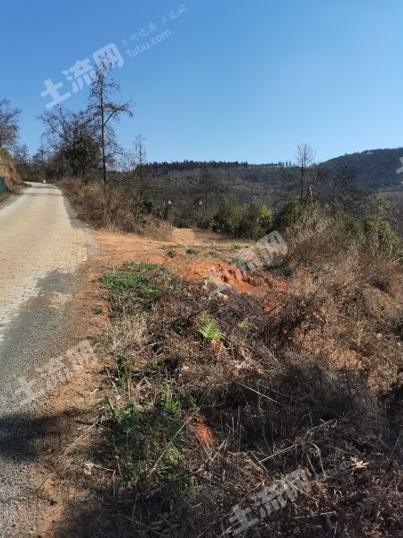 昆明宜良县432亩有林地转让