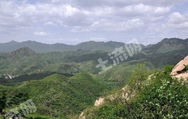 白山浑江区300亩荒山使用权出租