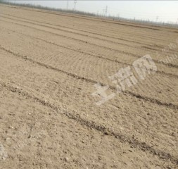 中卫中宁县9亩水浇地经营权转让