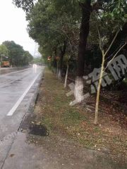 广州周边50亩建设用使用权转让