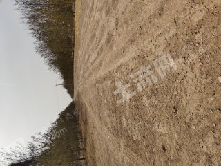 银川兴庆区46亩果园经营权转让