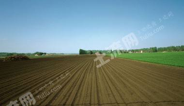 齐齐哈尔泰来县750亩综合养殖用地经营权转让