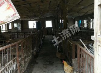 白山江源区50亩综合养殖用地经营权转让