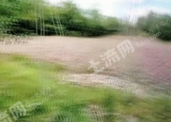 鸡西城子河区210亩综合养殖用地经营权转让