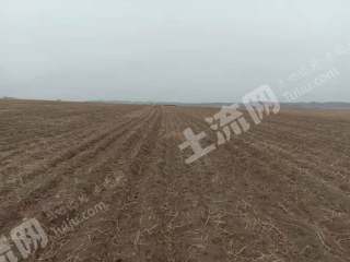 黑河五大连池市13500亩旱地经营权出租