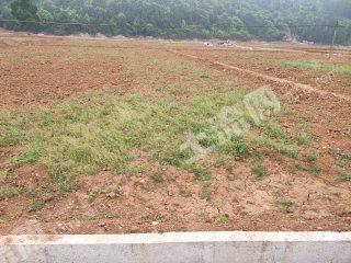 郴州桂阳县600亩水田经营权出租