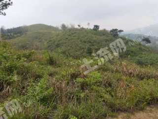 郴州宜章县 400亩 荒山 出租