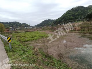 南充阆中市500亩水浇地经营权出租