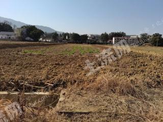 赣州石城县95亩水浇地经营权出租
